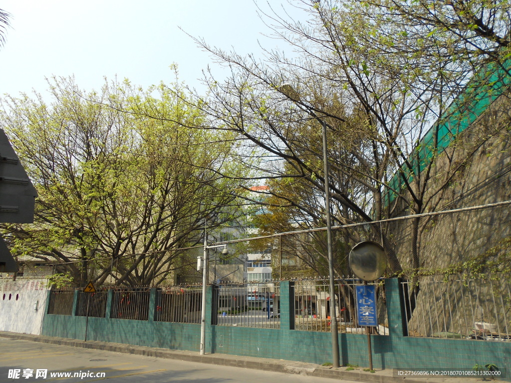 挡土墙边的植物造景