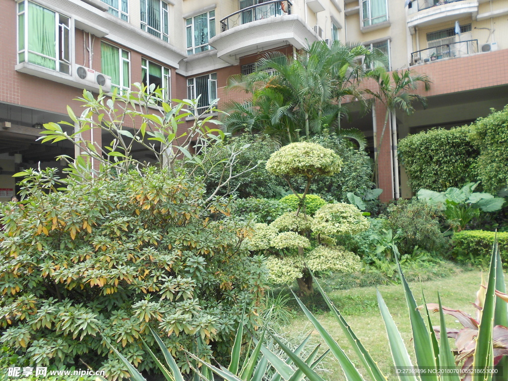 小区植物配景