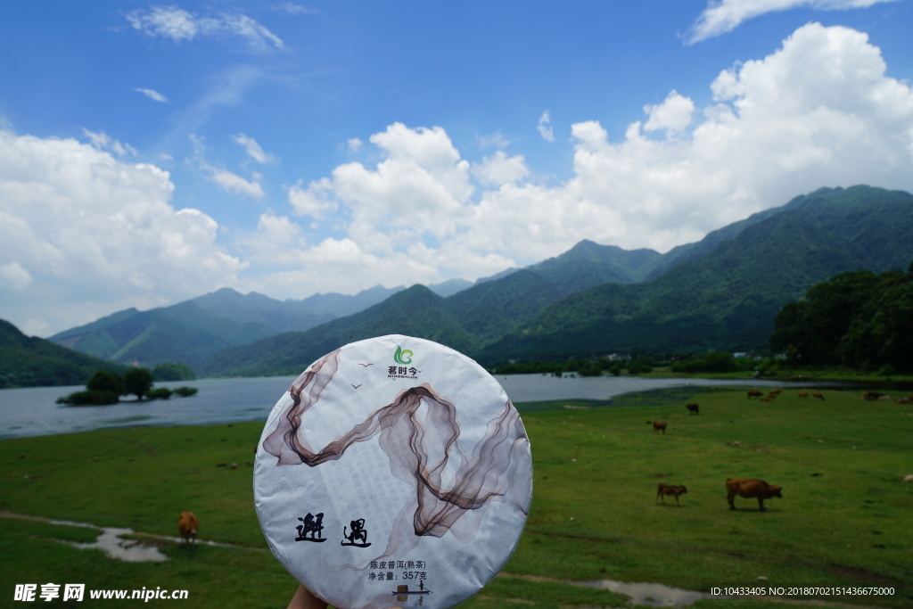 茗时今 品茶悟道 诗与远方