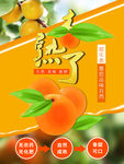 杏熟了