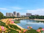 北运河风光