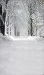 雪景