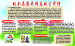 农村集体资产改革分解图