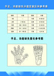 手足、功能缺失分值定级区间参考