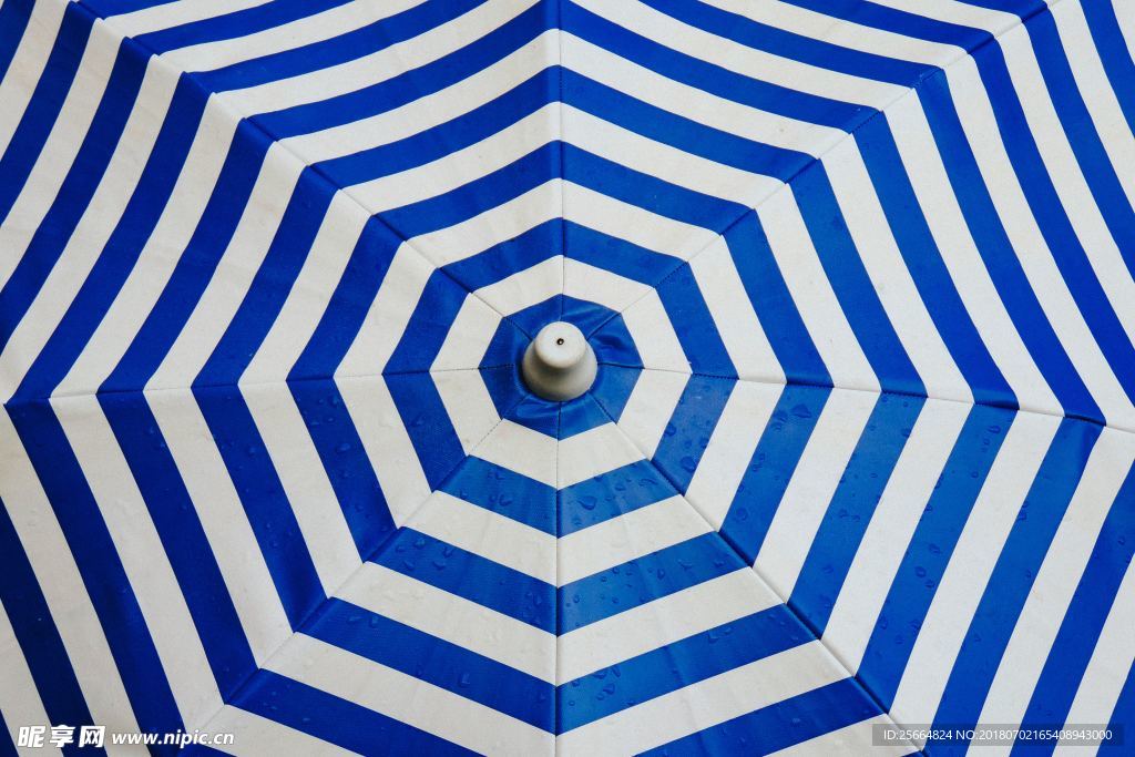 雨伞