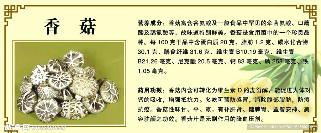 香菇