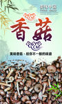 香菇