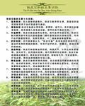铁皮石斛
