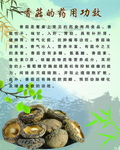 香菇