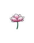 荷花简笔画