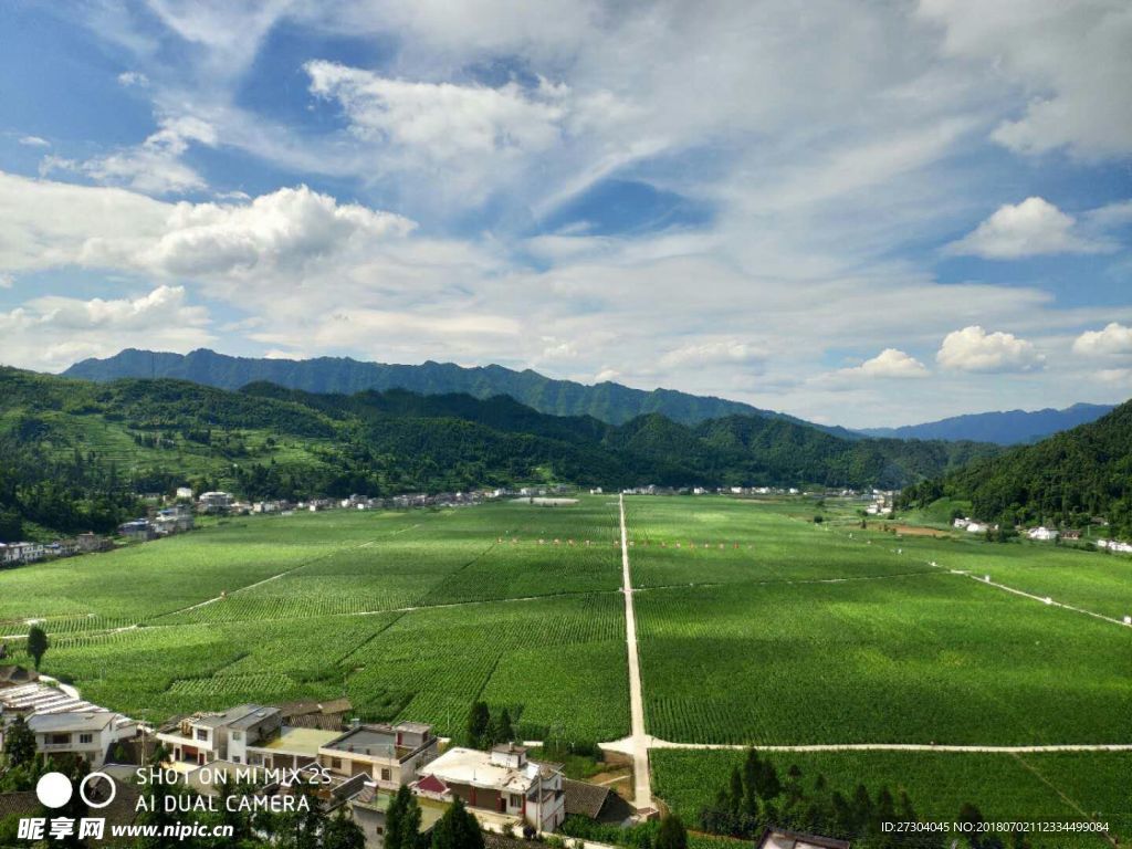 田园风光