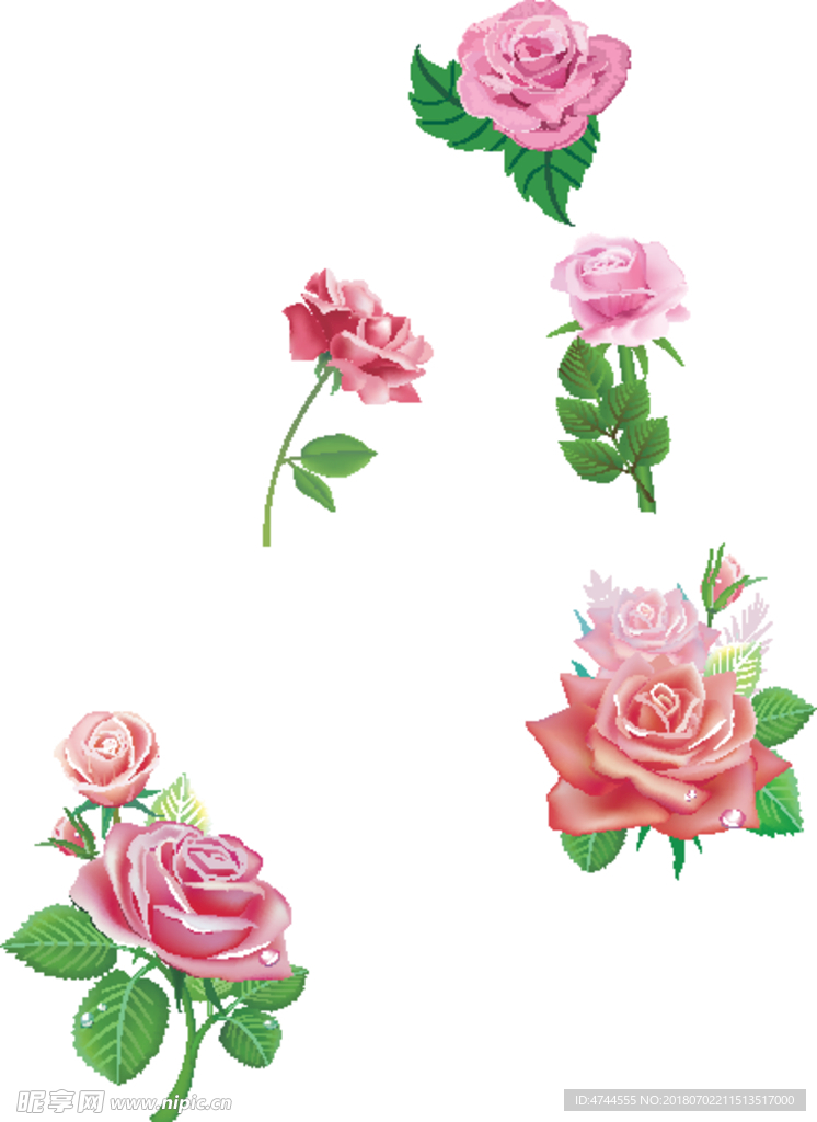 玫瑰花