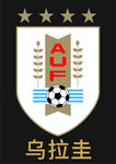 乌拉圭男子足球队队徽