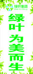 绿叶