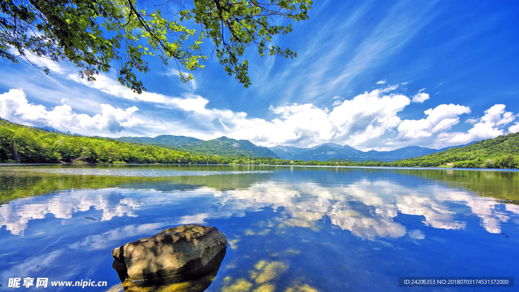 风景