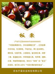 板栗海报