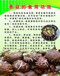 香菇