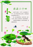 小暑