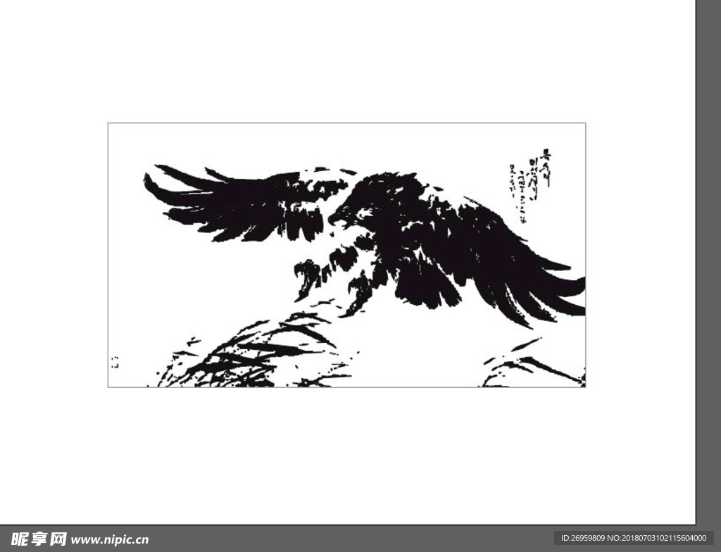 老鹰