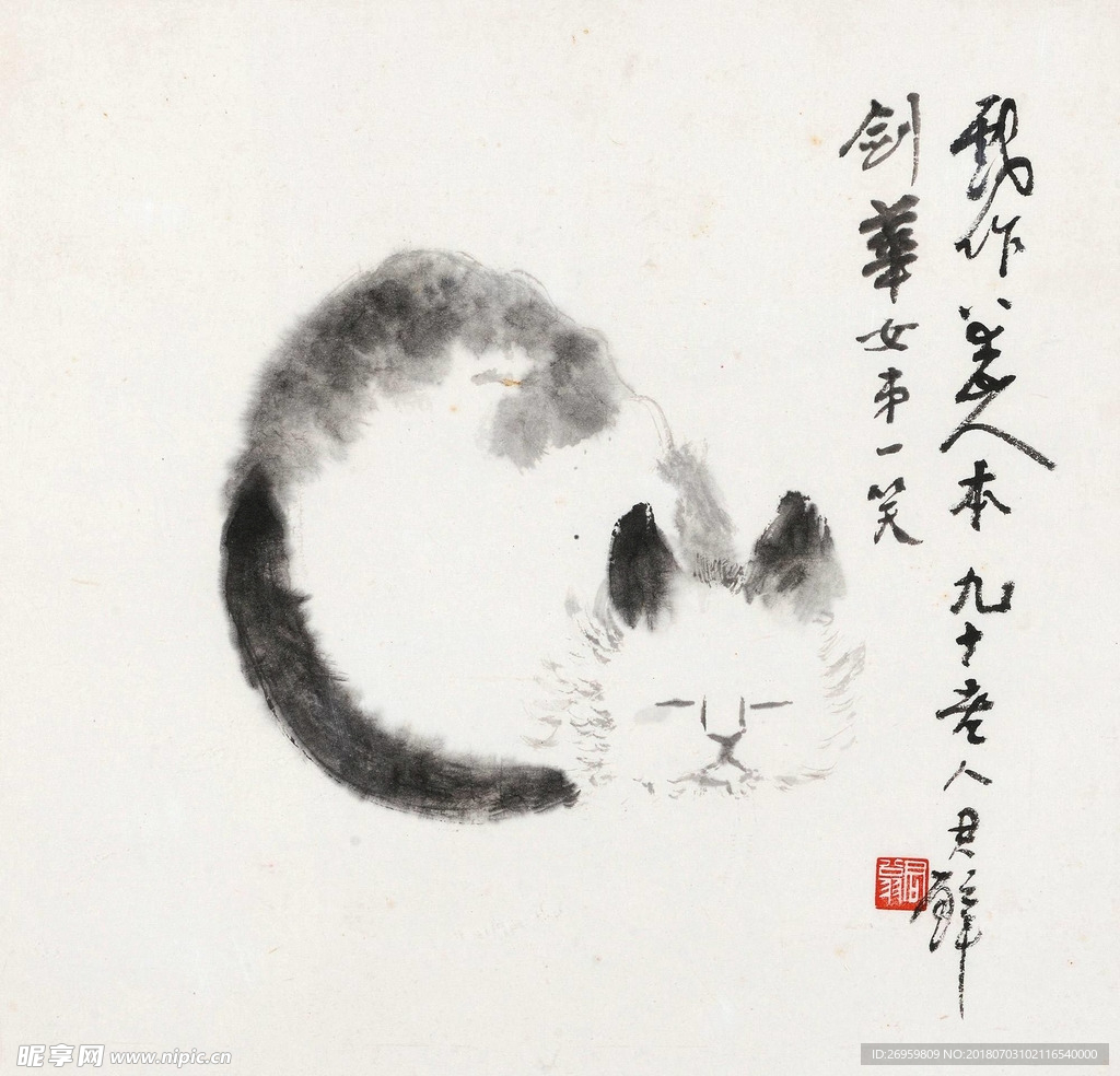 猫