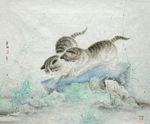 两只猫咪