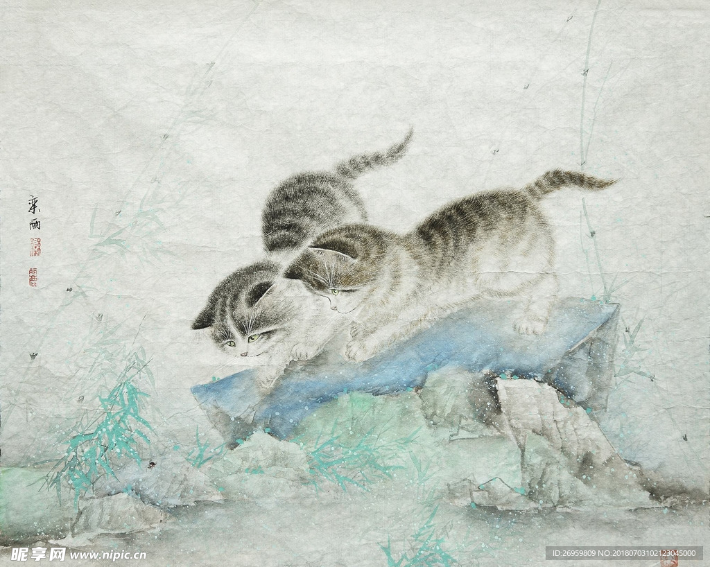 两只猫咪