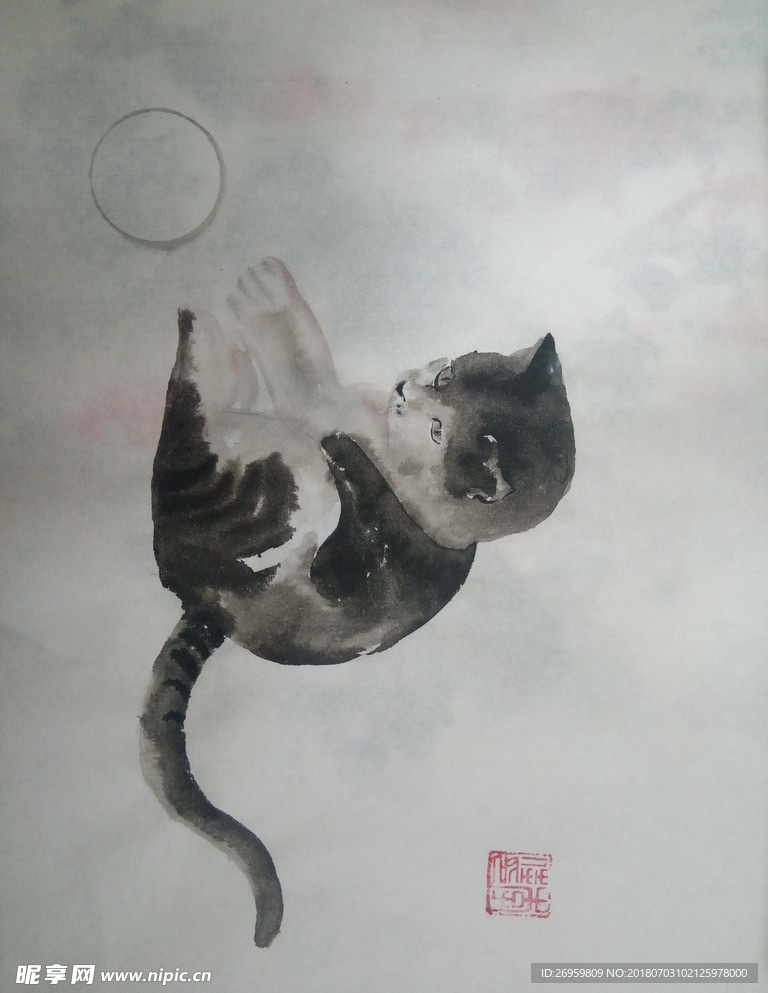 猫