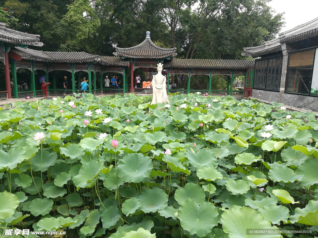 雕像 荷花女