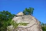 歇马山