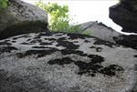歇马山