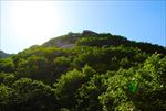 歇马山