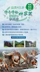 旅游海报