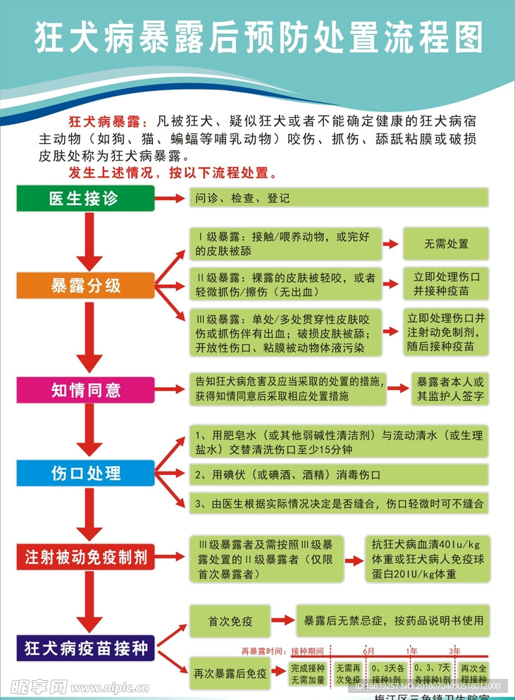 狂犬病预防流程图