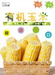 玉米海报