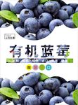 蓝莓海报