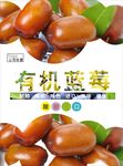 冬枣海报