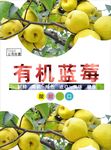 雪梨海报