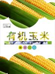 玉米海报