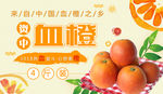 资中血橙banner图