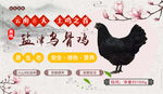 盐津乌鸡banner图