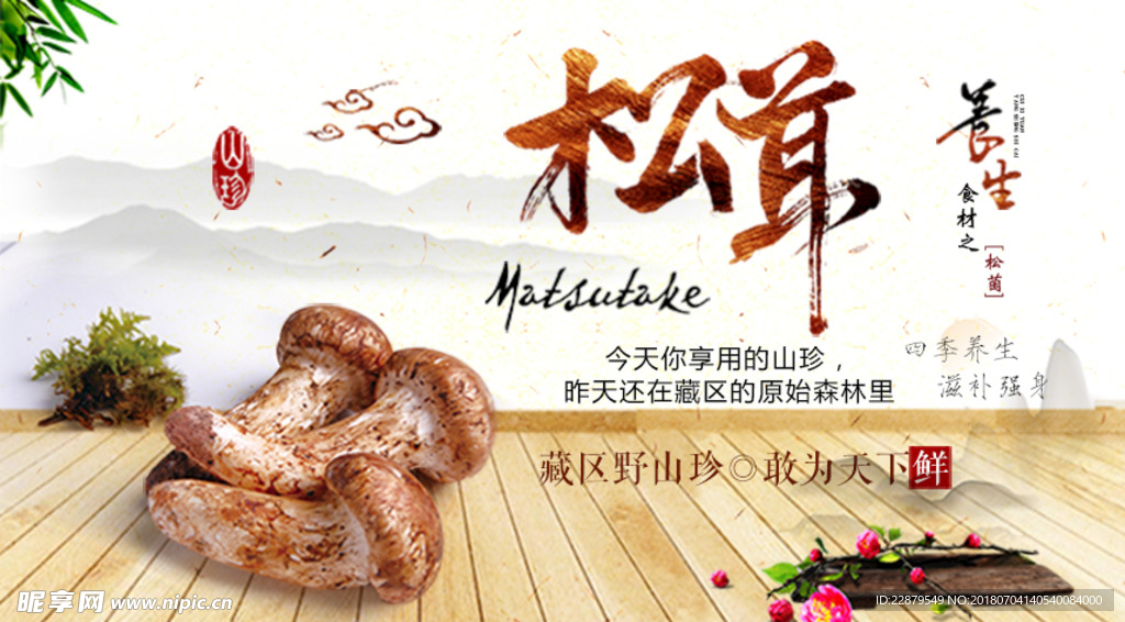 松茸banner图