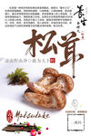 松茸宣传海报