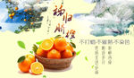秭归脐橙banner图