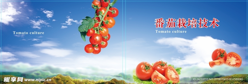 蕃茄栽培技术手册
