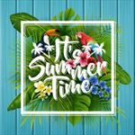 夏日海滩