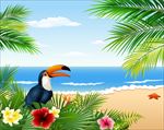 夏日海滩