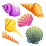 海洋生物