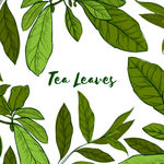 茶叶花纹