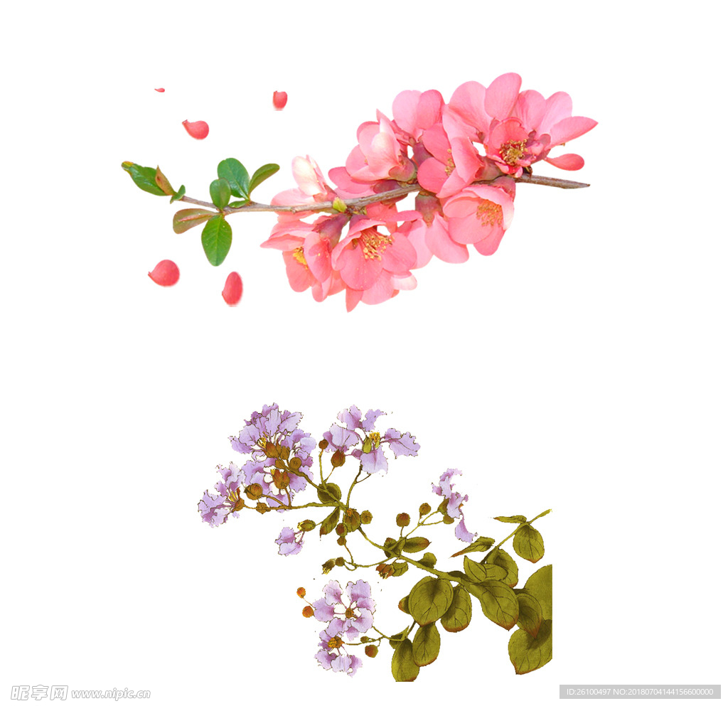花束