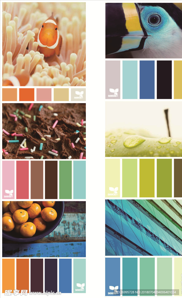 图片色卡